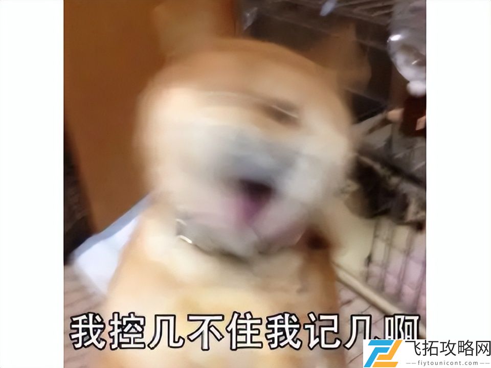 _2025开年第一爽游！居然是牛马打工人拼好饭中毒的美好幻想！_2025开年第一爽游！居然是牛马打工人拼好饭中毒的美好幻想！