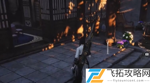 zty_20250117112736560.png