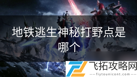 _地铁逃生最肥打野点_地铁逃生野怪