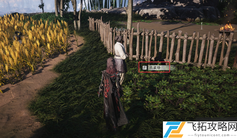 zty_20250225213553059.png