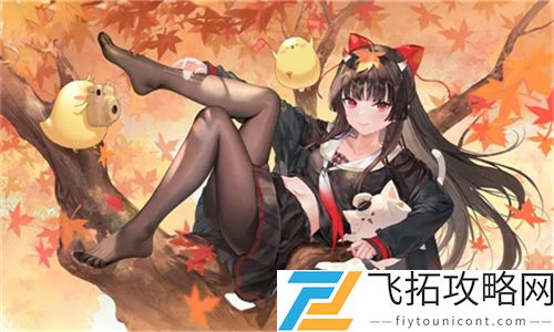大龟慢慢挺进张娟征的休：在宁静中找寻生命的意义与和谐的共处
