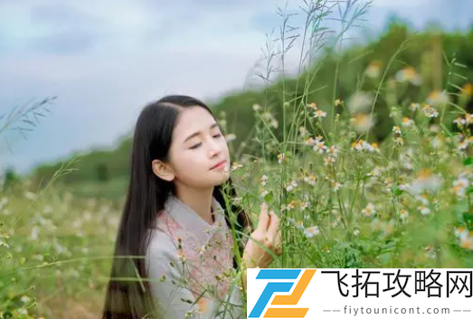美国人与动物胶配方有几种：这是一场视觉与思想的盛宴