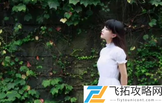9 1免费安装安卓手机：感受影像艺术的巅峰之作