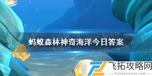 猜一猜：海龟的心跳频率与人类相比，更高还是更低 神奇海洋4月9日答案