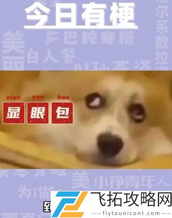 显眼包这个梗怎么来的：公会管理高效法则