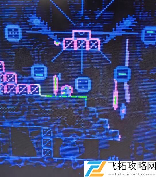 动物井巨兔岛进入方法