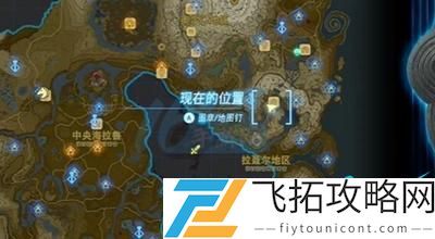 王国之泪跃然空中的妻子任务怎么做：如何通过竞技场提高战斗技巧？