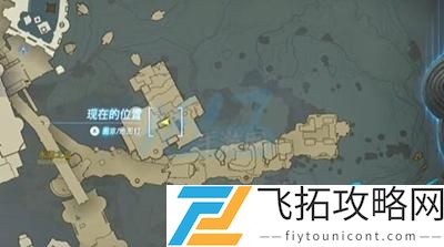 王国之泪跃然空中的妻子任务怎么做：如何通过竞技场提高战斗技巧？