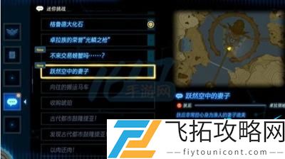 王国之泪跃然空中的妻子任务怎么做：如何通过竞技场提高战斗技巧？