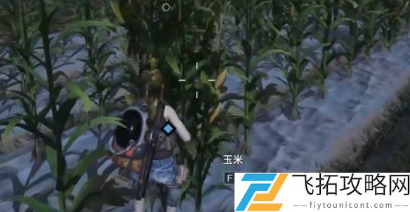 七日世界收获季节怎么过-七日世界收获季节任务攻略