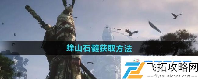 《黑神话悟空》蜂山石髓获取方法：游戏体验不断创新