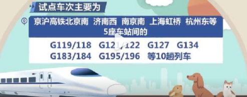 12306宠物托运规定解读-运输过程中有哪些注意事项