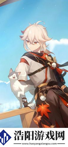 真三国无双最终BOSS：玩家如何看待这一终极挑战的设计与难度？