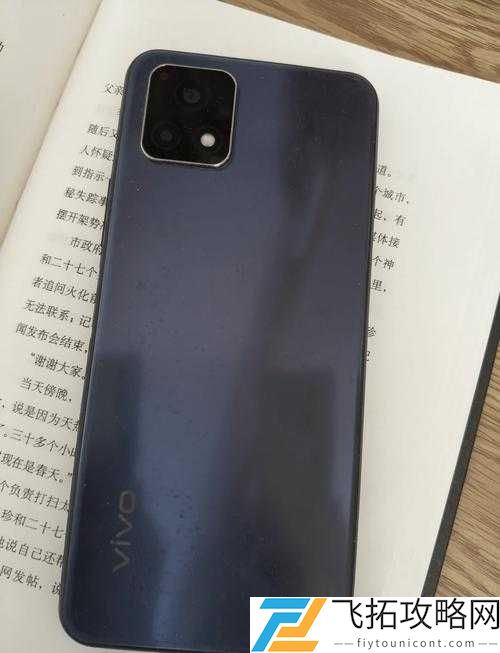 高质量一级成色好的 y31s 标准版评测:全方位深度解析其卓越表现