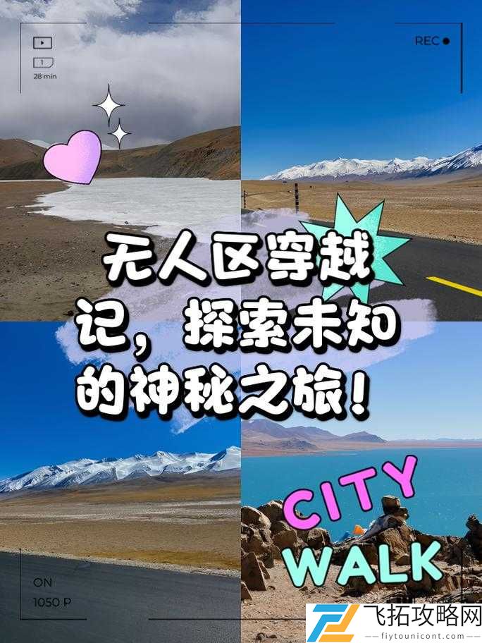 无人区码卡二卡 3 卡 4 卡无的神秘探索之旅