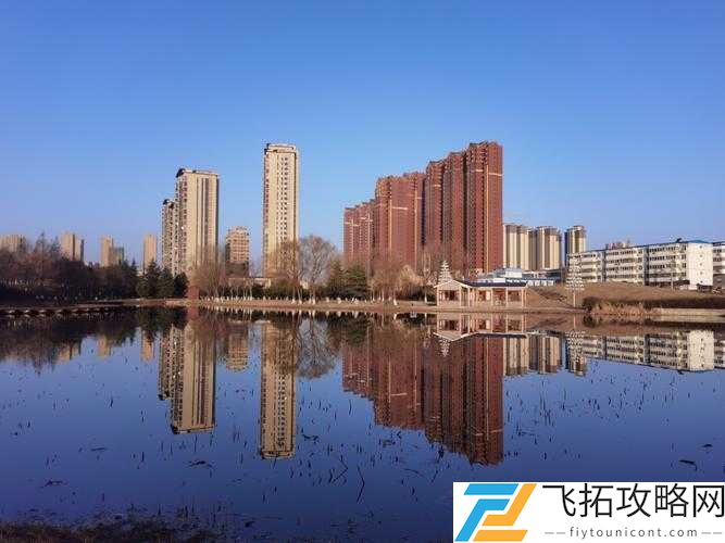 一级黄比比片:独特视角下的奇妙呈现