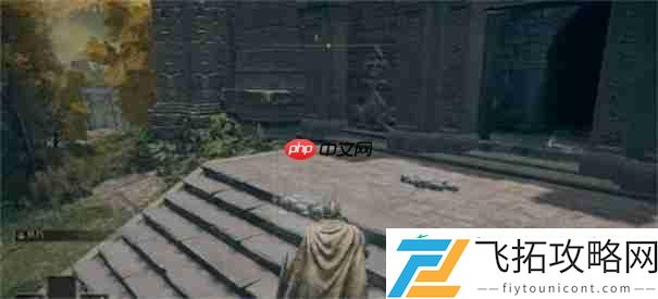 艾尔登法环黑夜君临怎么回蓝