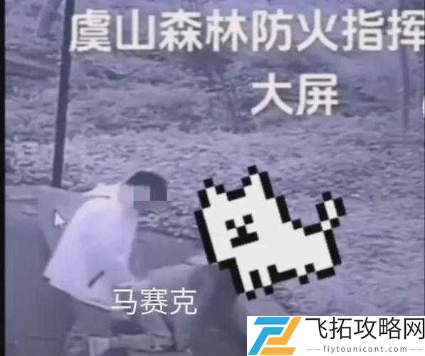 打扑牌不盖被子这一行为可能存在的健康隐患及不良影响