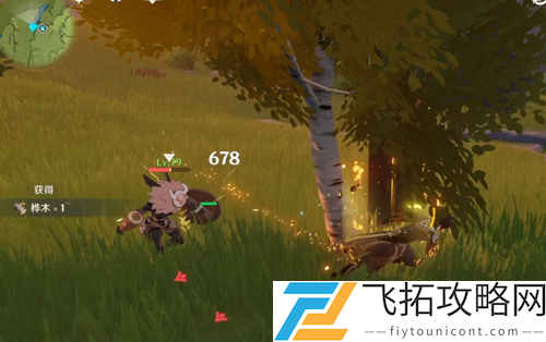 原神桦木哪里多