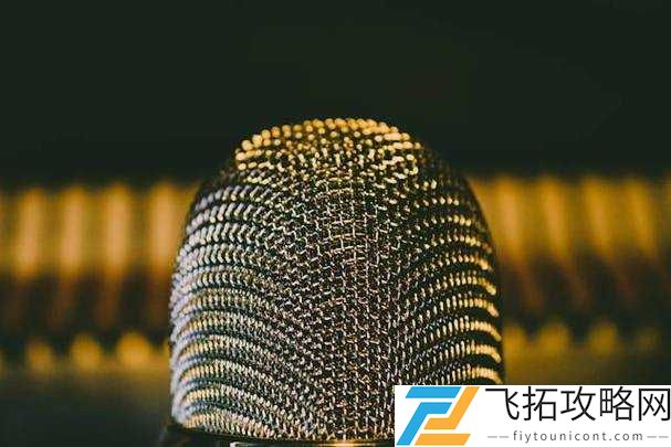 红桃.cv:探索声音的魅力