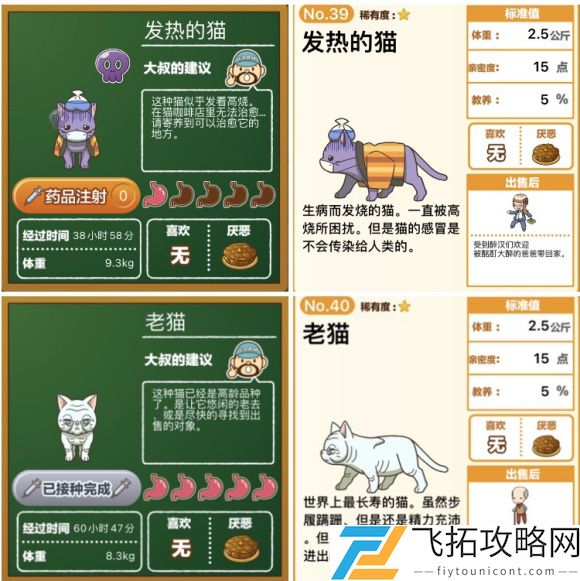 猫猫咖啡屋怎么喂猫粮