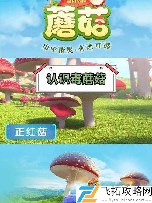 蘑菇mogu官方网站:探索精彩世界的优质平台