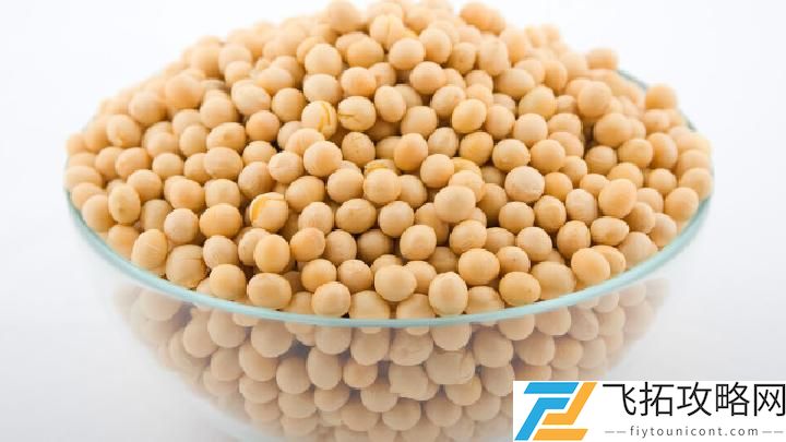 夏季养胃需注意哪些原则