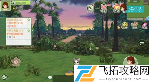 小森生活猫咪领养方法