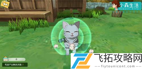 小森生活猫咪领养方法