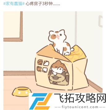 遇见你的猫喵圈攻略大全