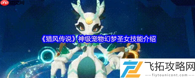 猎风传说幻梦圣女全解