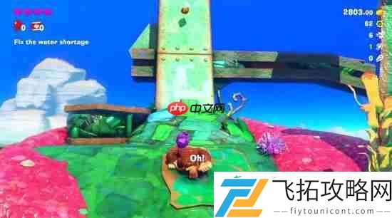 咚奇刚
