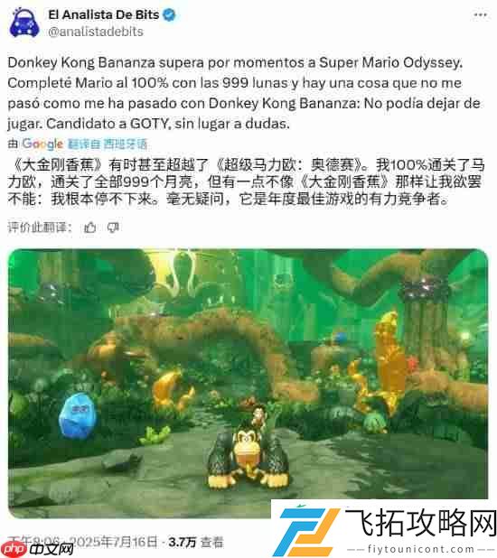 知名博主盛赞咚奇刚