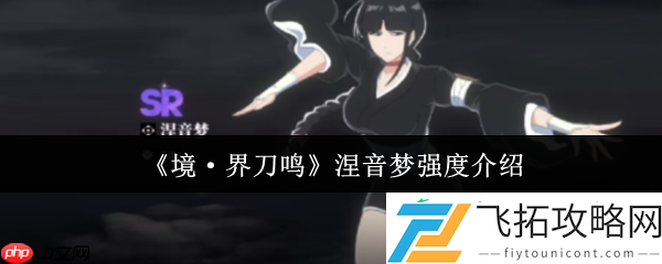 境界刀鸣涅音梦全解析