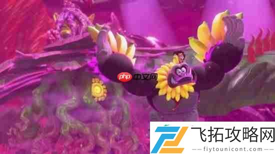 蕉力全开大量截图