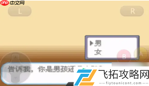 口袋妖怪盖亚第一周目攻略