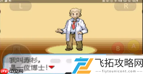 口袋妖怪盖亚第一周目攻略