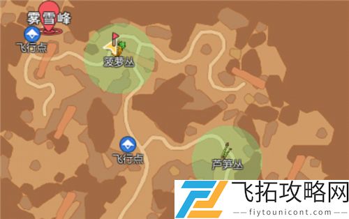 小森生活彩虹羊驼在哪里刷新