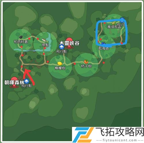 小森生活月影森林资源分布图