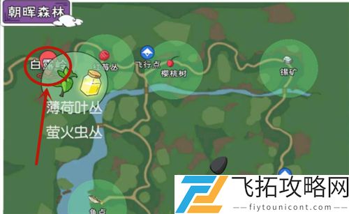 小森生活铁矿在哪儿