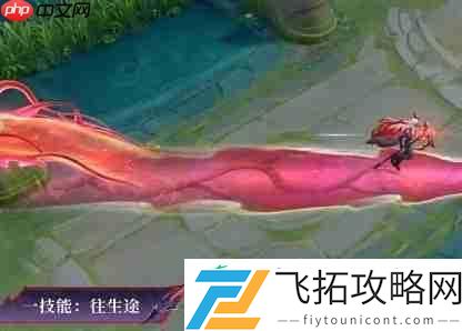 王者荣耀大司命暗都幽影皮肤特效一览
