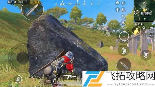 答题福利大更新动动手指就能领永久套装在雨林打野攻略中哪处位置位于地图中心