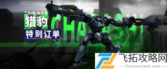 钢岚肖妮怎么样