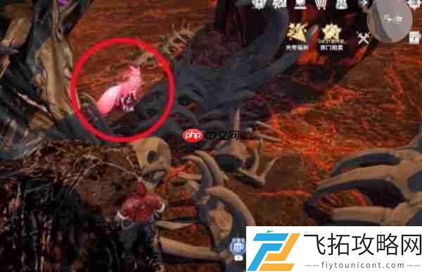斗罗大陆猎魂世界震荡队搭配攻略