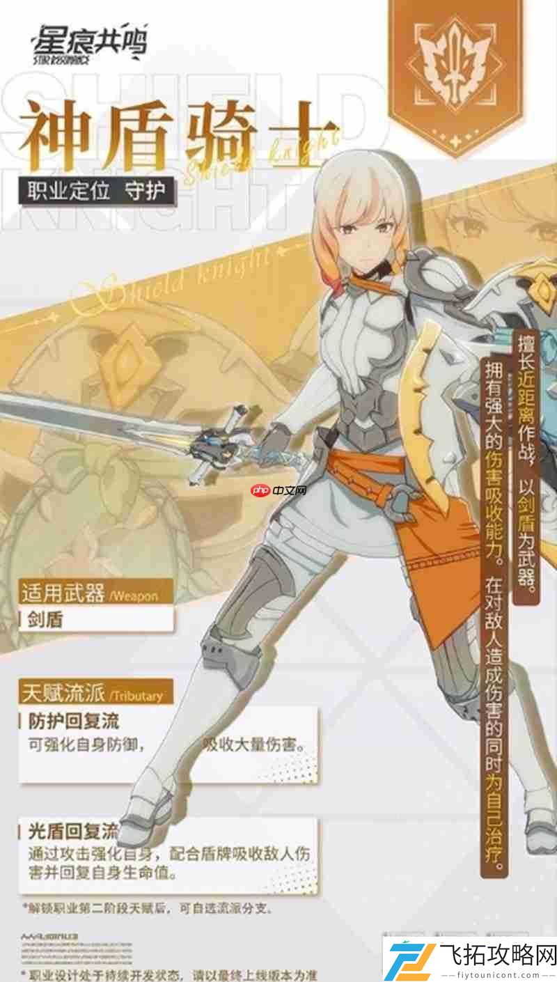 神盾骑士职业流派详解