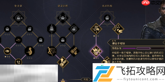 搭配介绍