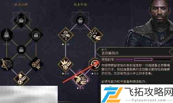 搭配介绍
