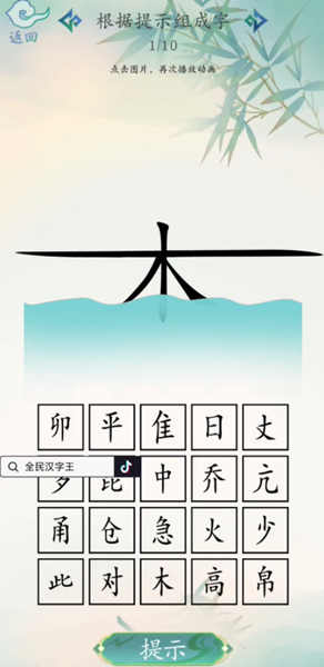 全民汉字王安卓版