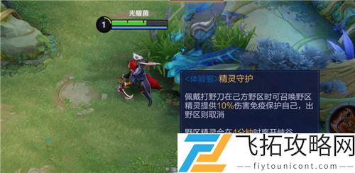 王者荣耀精灵保护消失是什么意思