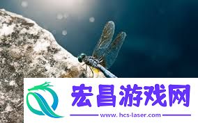 小红书图片压缩严重怎样保留画质